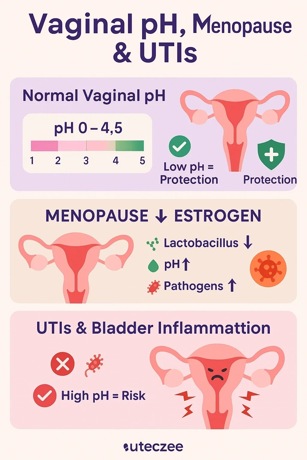 Vaginal pH effects: menopause, UTIs illustration.